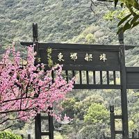 評論圖片 6
