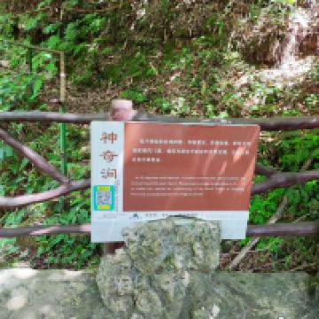 評論圖片 6