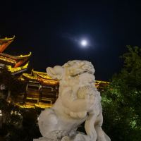 評論圖片 6