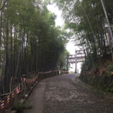 評論圖片 5