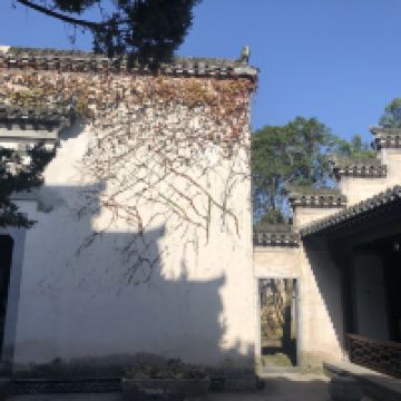 評論圖片 5