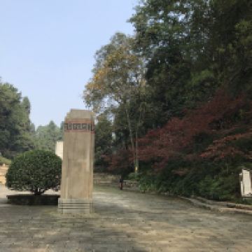 評論圖片 9