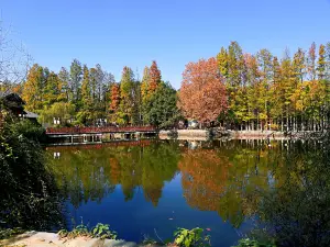 大餘灣