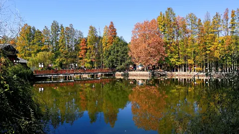 Dayu Bay attraction in Wuhan