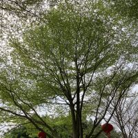 評論圖片 5