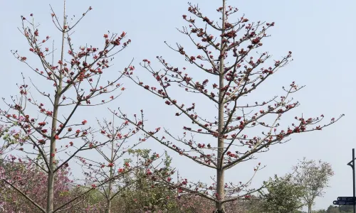 Nanning Garden Expo Park