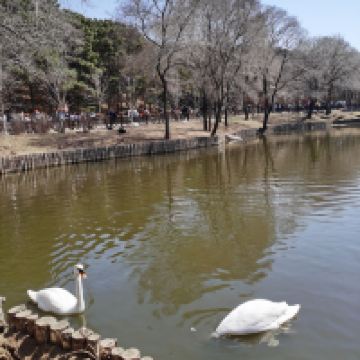 評論圖片 4