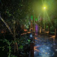 評論圖片 3