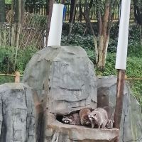 評論圖片 4