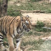 評論圖片 4