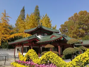 바오투취안(표돌천)