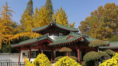 Baotu Spring attraction in Jinan