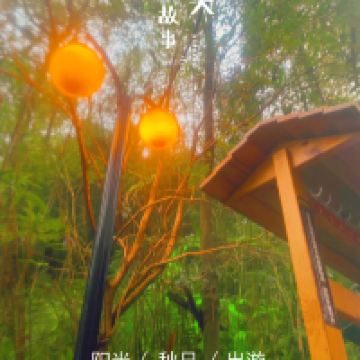 評論圖片 1