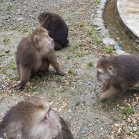 評論圖片 4