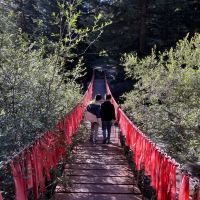 評論圖片 8
