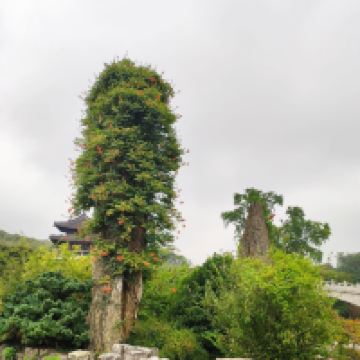 評論圖片 6