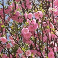 評論圖片 8