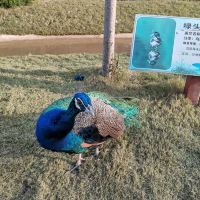 評論圖片 4