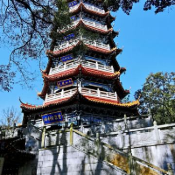 評論圖片 8