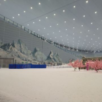 評論圖片 5