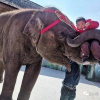 評論圖片 3