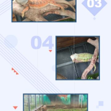 評論圖片 3