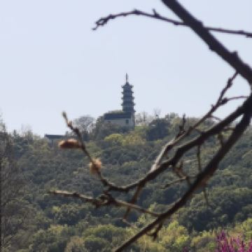 評論圖片 5