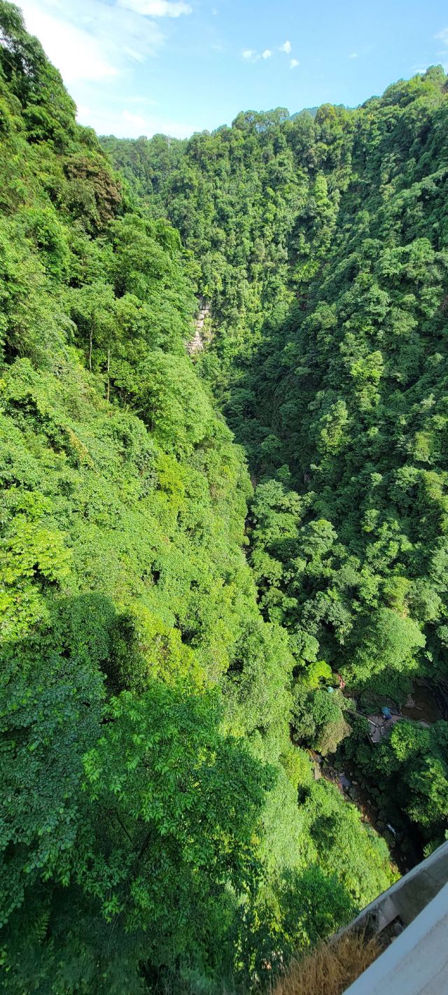 Bifengxia Giant Panda Base