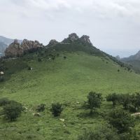 評論圖片 3