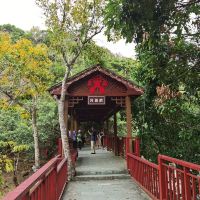 評論圖片 6