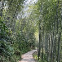 評論圖片 6