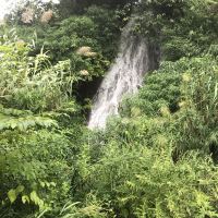 評論圖片 7