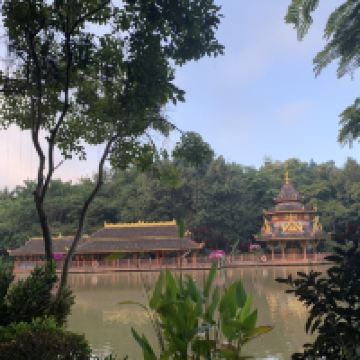 評論圖片 6
