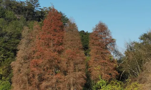 단샤산(단하산)