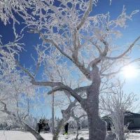 評論圖片 2