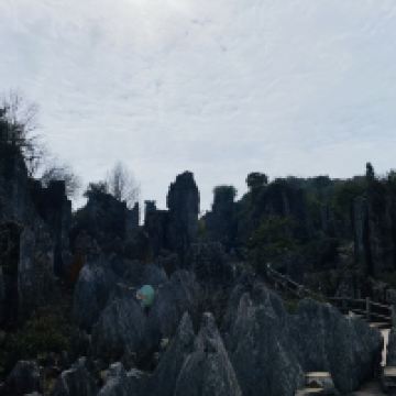 評論圖片 2
