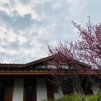 評論圖片 3