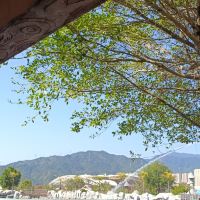 評論圖片 6