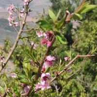 評論圖片 4