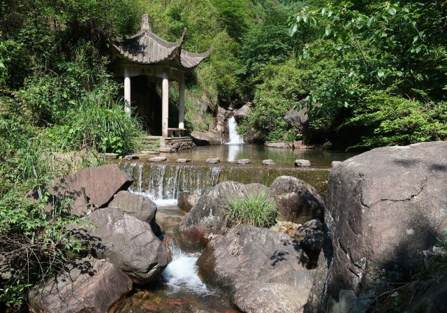 大奇山國家森林公園