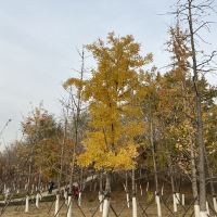 評論圖片 8