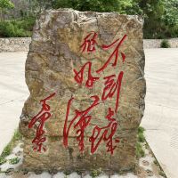 評論圖片 2