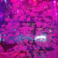 評論圖片 4
