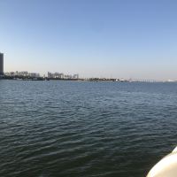 評論圖片 5