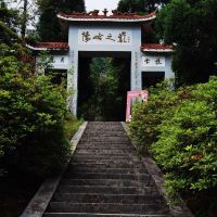 評論圖片 9
