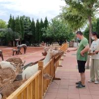 評論圖片 4