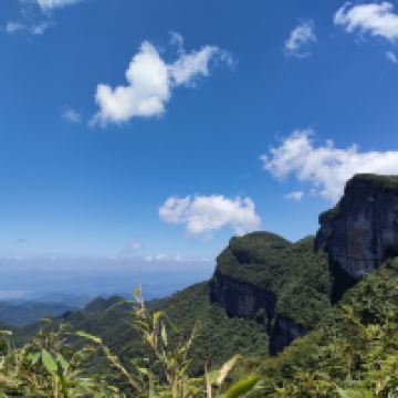 評論圖片 5