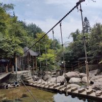 評論圖片 9