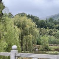評論圖片 6