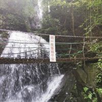 評論圖片 5